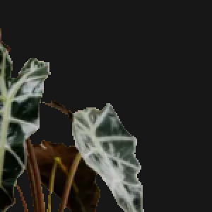 Transparent GIF on a dark background with hard, stair-stepped edges